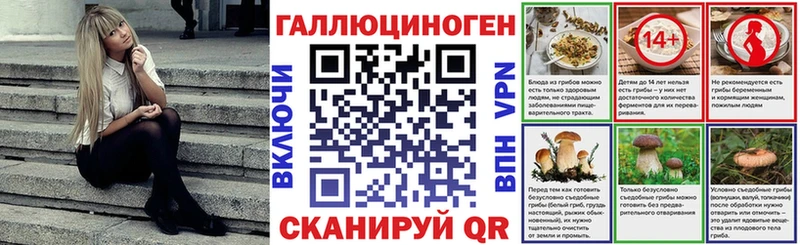 купить наркоту  Алексин  Галлюциногенные грибы GOLDEN TEACHER 